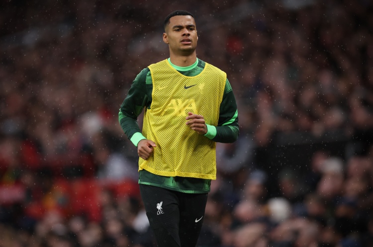 加克波说, 太棒了, 不过我没有 加克波说, 太棒了, 不过我没有